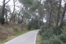 Piste cyclable à La Londe Les Maures